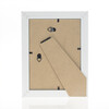 Orion gold 20x30  4 