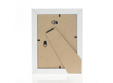 Orion gold 20x30  4 