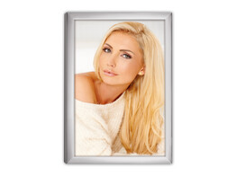 Silver Frame 120S20