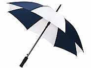 Parapluie bleu et blanc (2)